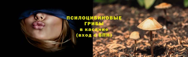 дживик Алзамай