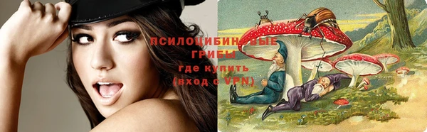 дживик Алзамай