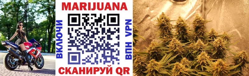 как найти наркотики  Чкаловск  Шишки марихуана конопля 
